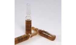 SOS BOSWELLIA – bdr Beauty Defect Repair